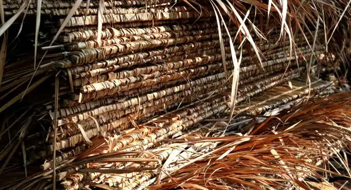 industri sawit