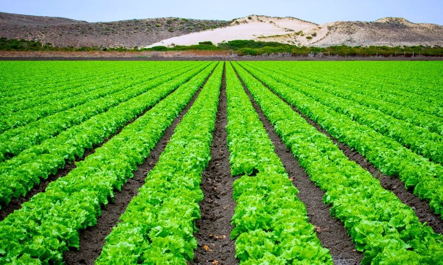 agricultur