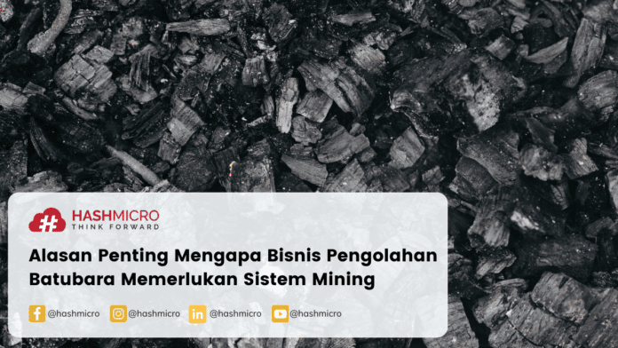 Alasan Penting Mengapa Bisnis Pengolahan Batubara Memerlukan Sistem Mining