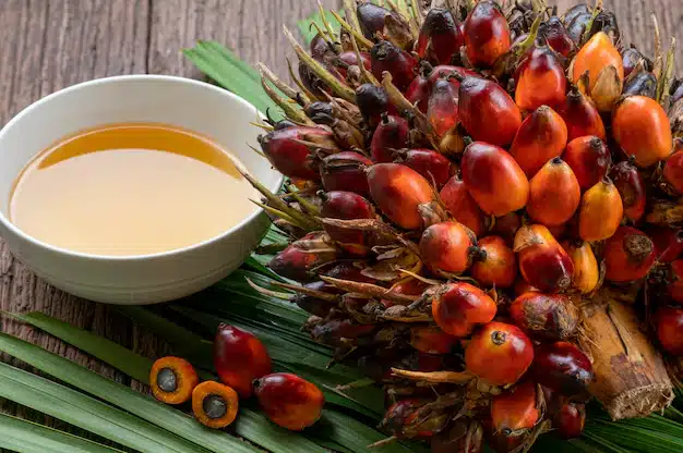 minyak sawit