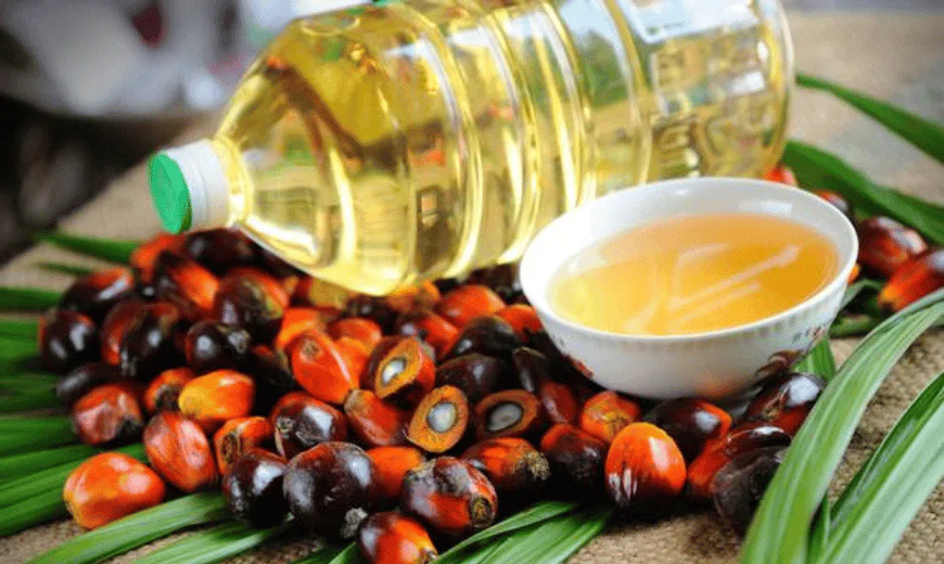 Mengenal Crude Palm Oil dan Proses Pengolahannya