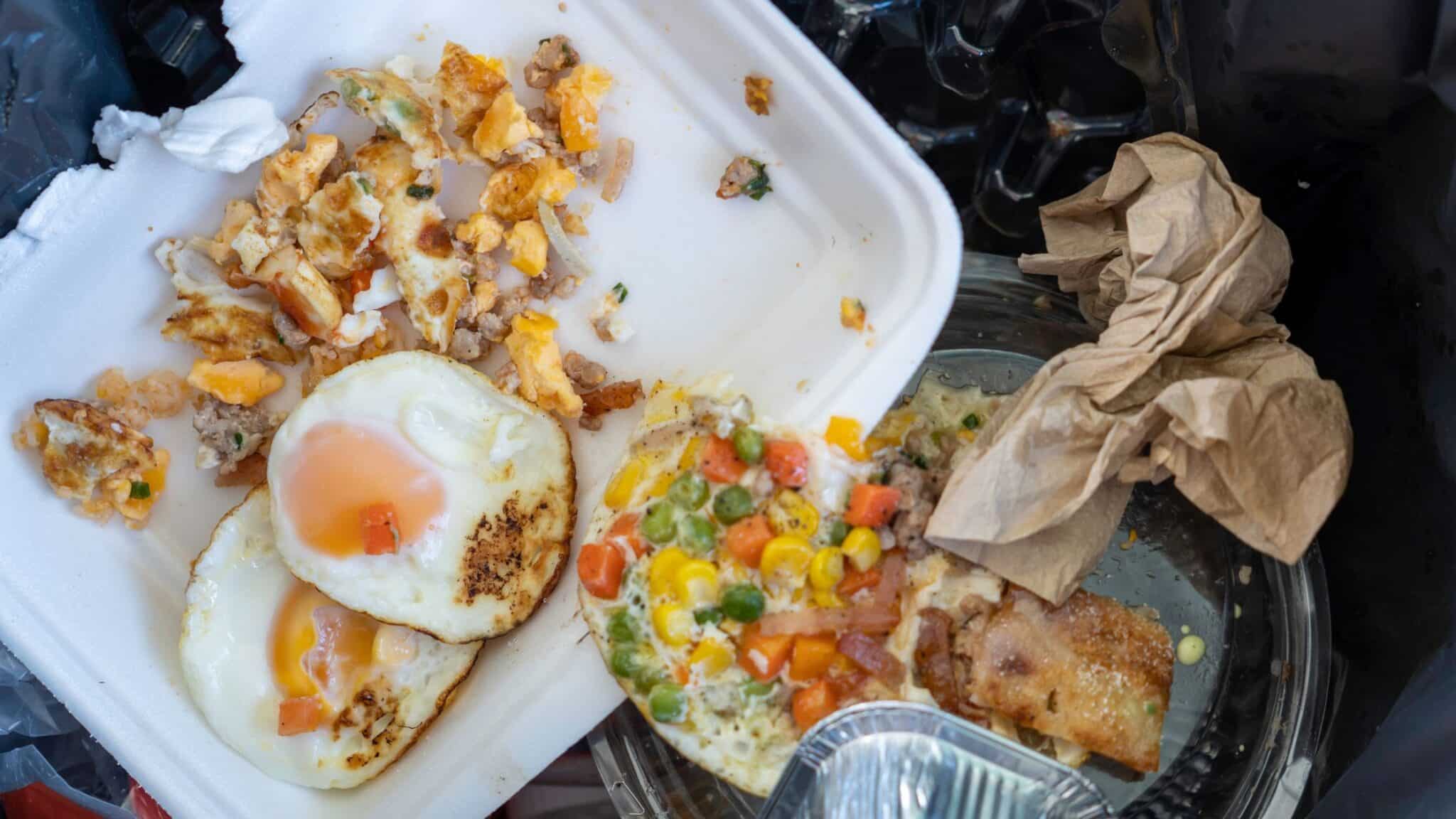 Food Waste Definisi, Penyebab, dan Cara Menanggulanginya