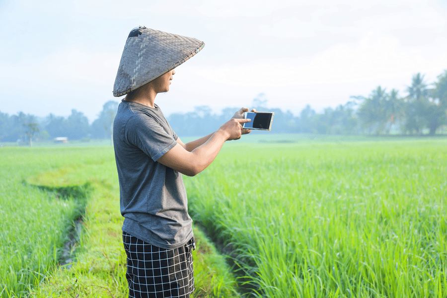 Apa Pentingnya Smart Farming dalam Dunia Pertanian?