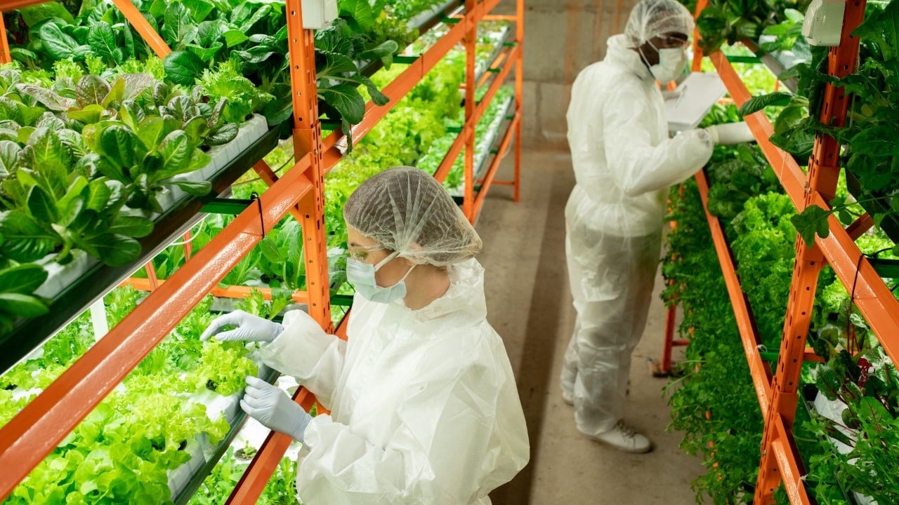 vertical farming adalah melakukan pertanian keatas menggunakan bantuan dari gedung-gedung.