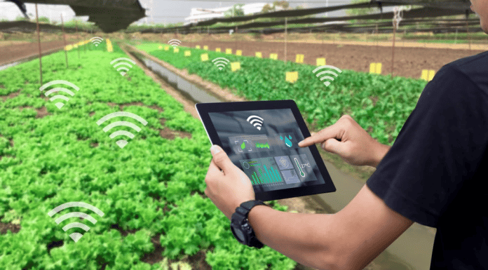 Disrupsi Smart Farming dalam Teknologi Pertanian di Indonesia