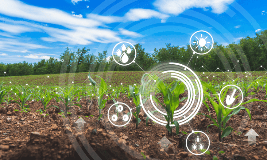 Software Manajemen Perkebunan sebagai Alat Penting Transformasi Menuju Digital Farming