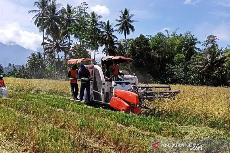Modernisasi Teknologi untuk Memajukan Pertanian Indonesia