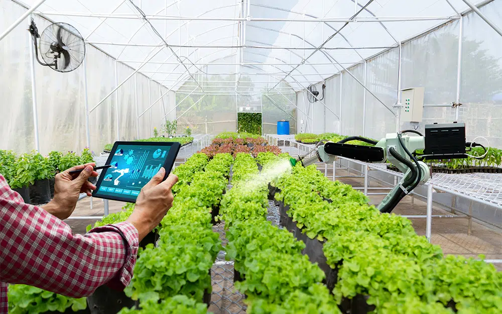 Apa Saja Teknologi Smart Farming pada Saat Ini?