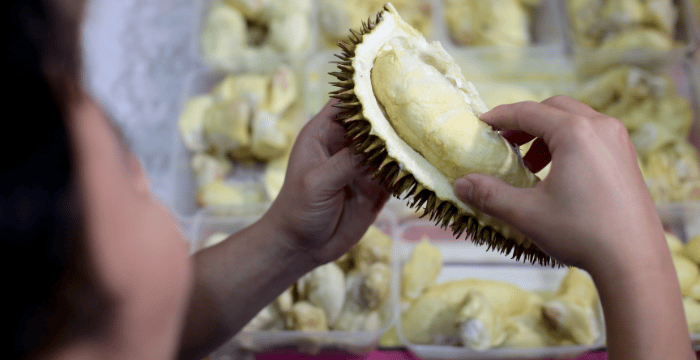 Budidaya durian