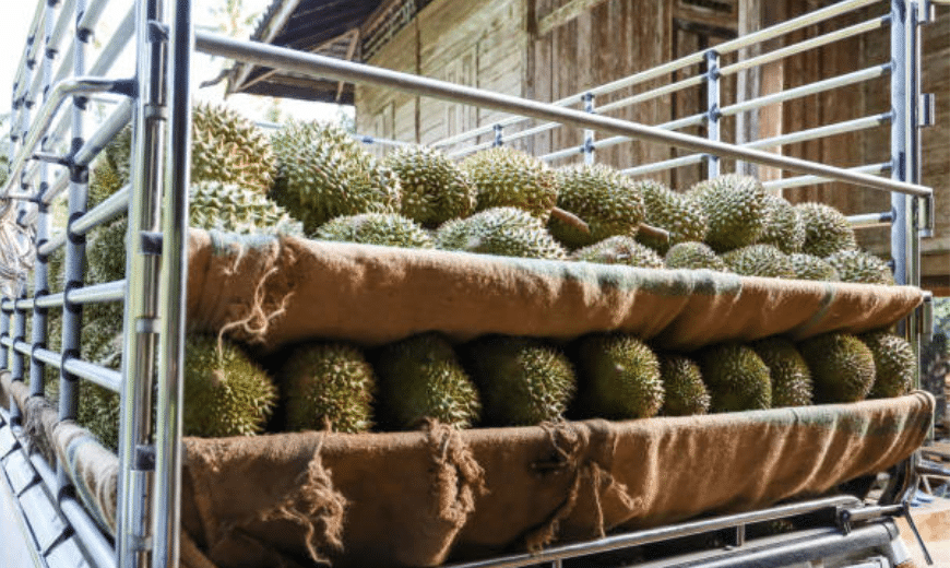 produktivitas di Indonesia masih rendah