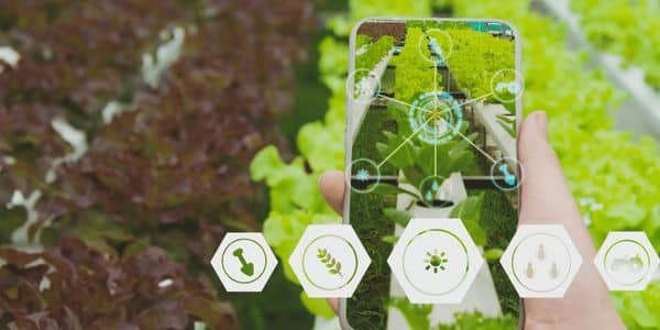Startup Pertanian dan Software Agrikultur Sebagai Solusi Mengembangkan Pertanian Modern