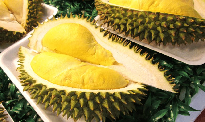keanekaragaman jenis hasil dari perkebunan durian