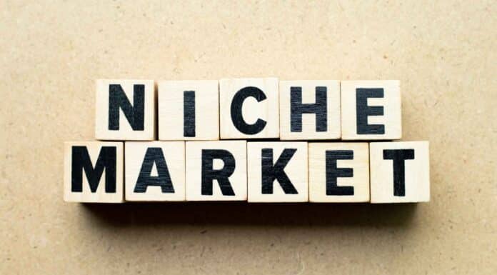 niche market adalah