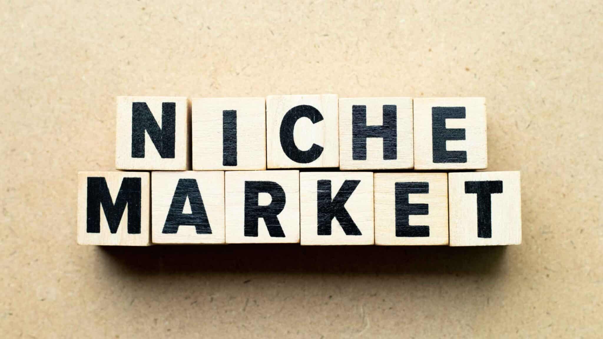 niche market adalah