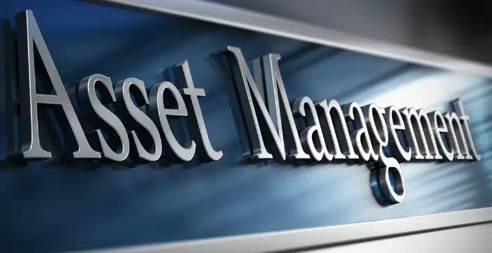fixed asset