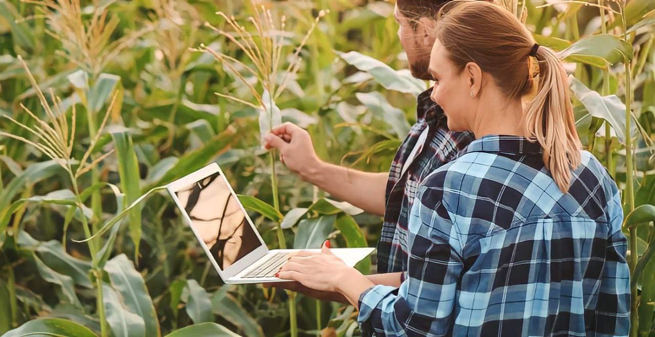 Pentingnya sodtware testing pada software agriculture