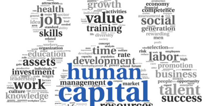 Definisi dan Peran Penting Human Capital pada Perusahaan