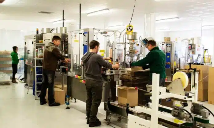 Strategi Perencanaan Kapasitas Produksi Untuk Bisnis Manufaktur