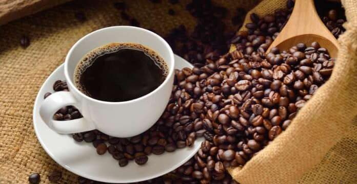 Alasan bisnis ekspor kopi memerlukan IT Inventory