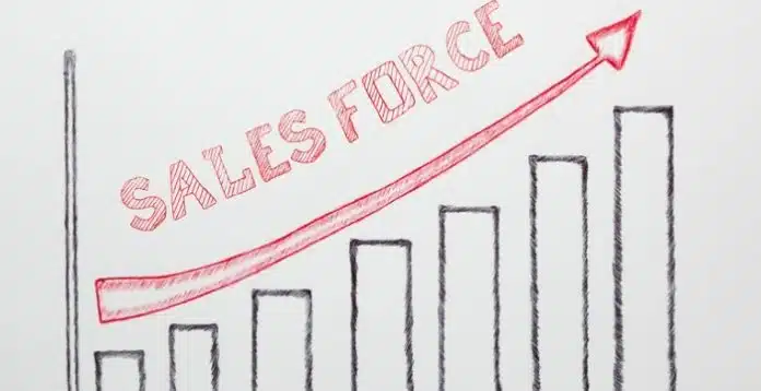 apa itu sales force