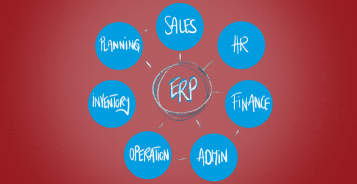 tips maksimalkan penggunaan ERP