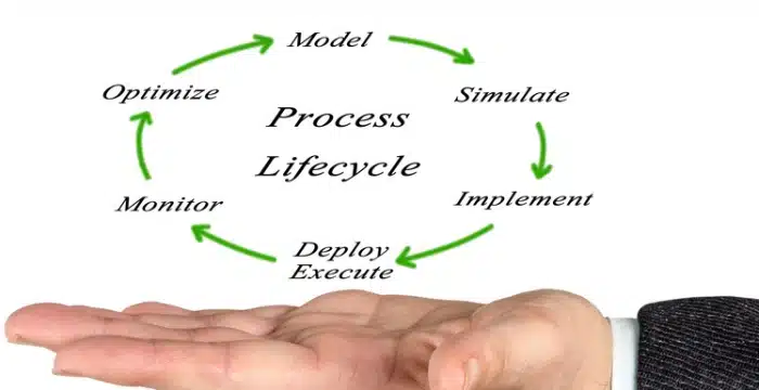 traditional erp life cycle