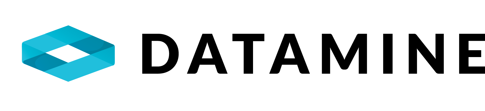 Datamine