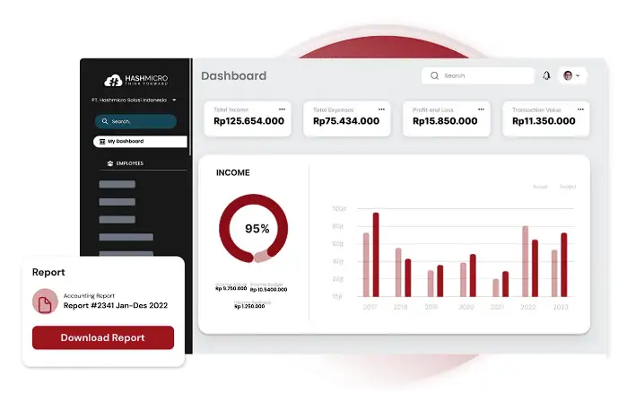 sistem akuntansi hashmicro