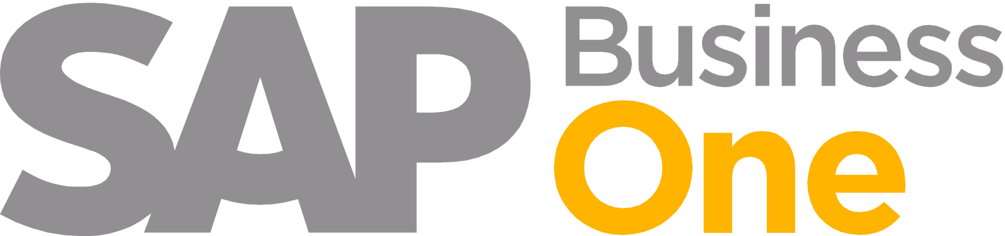 Software SAP Business One