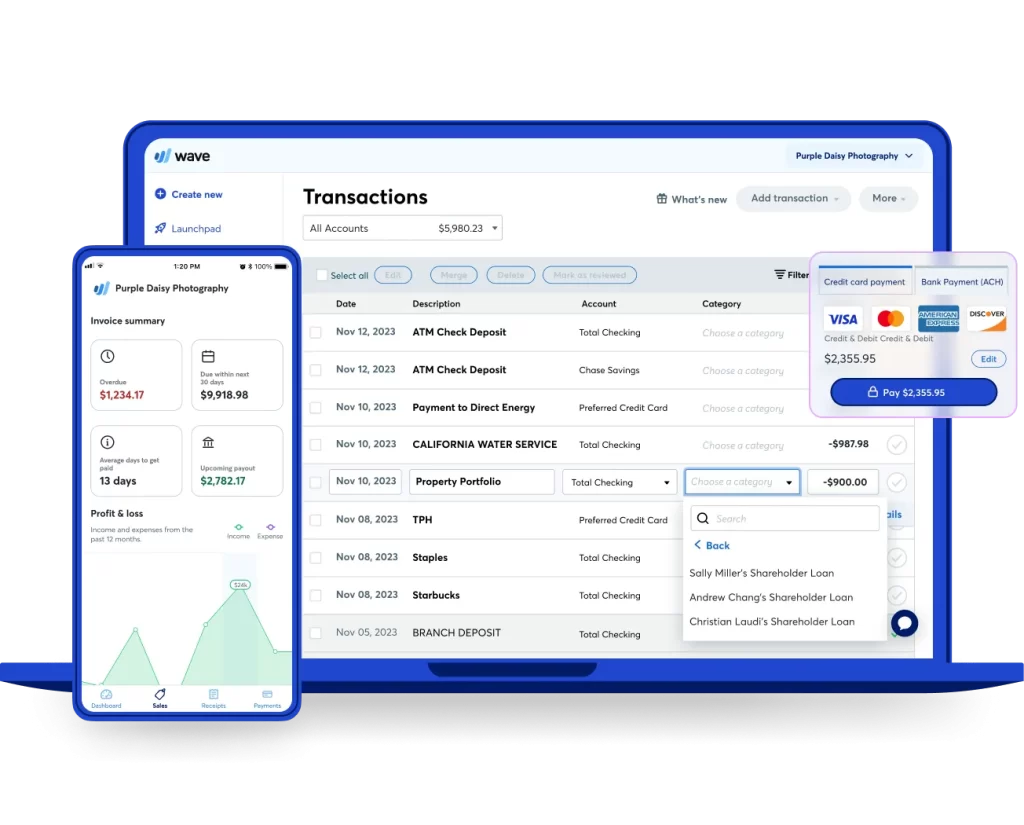 software akuntansi wave