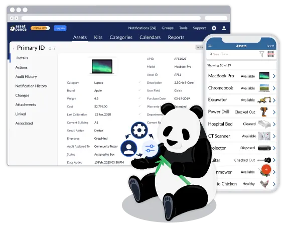 asset panda