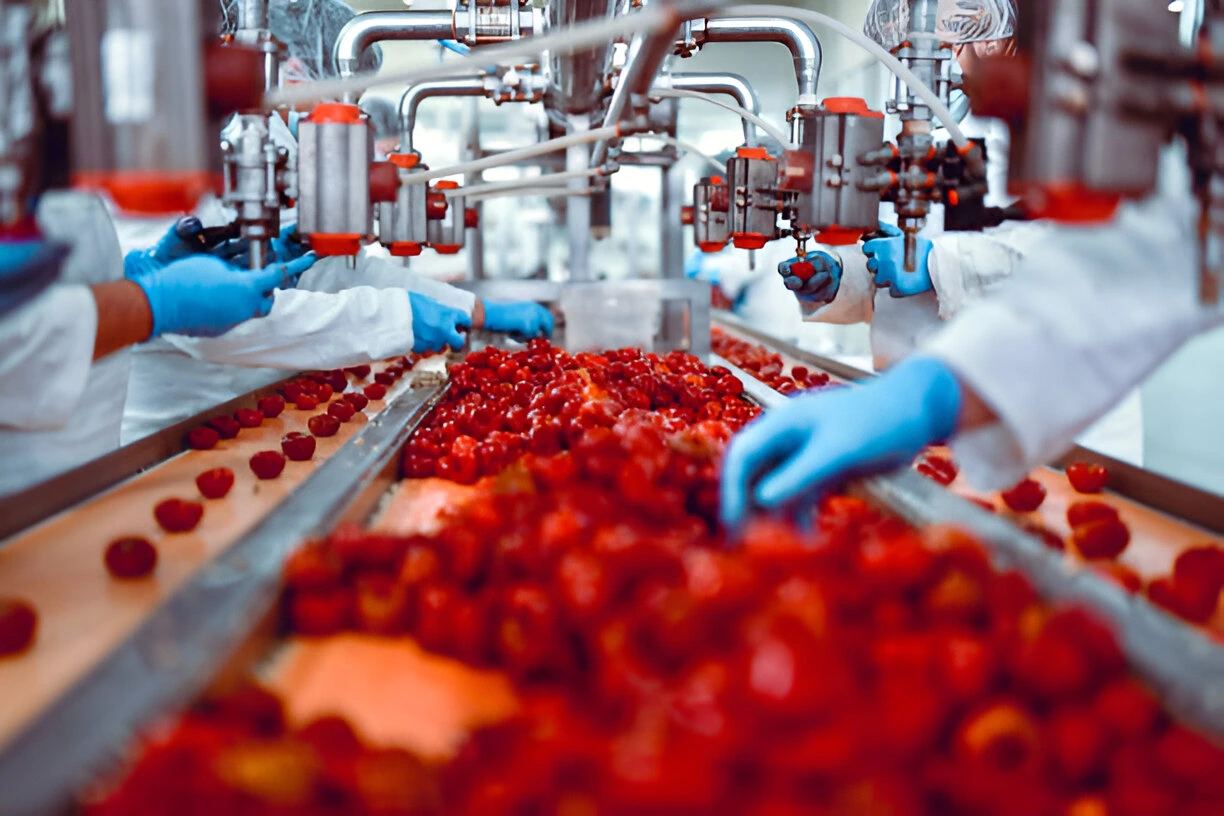 Kenapa Pabrik Makanan Butuh Sistem Procurement?