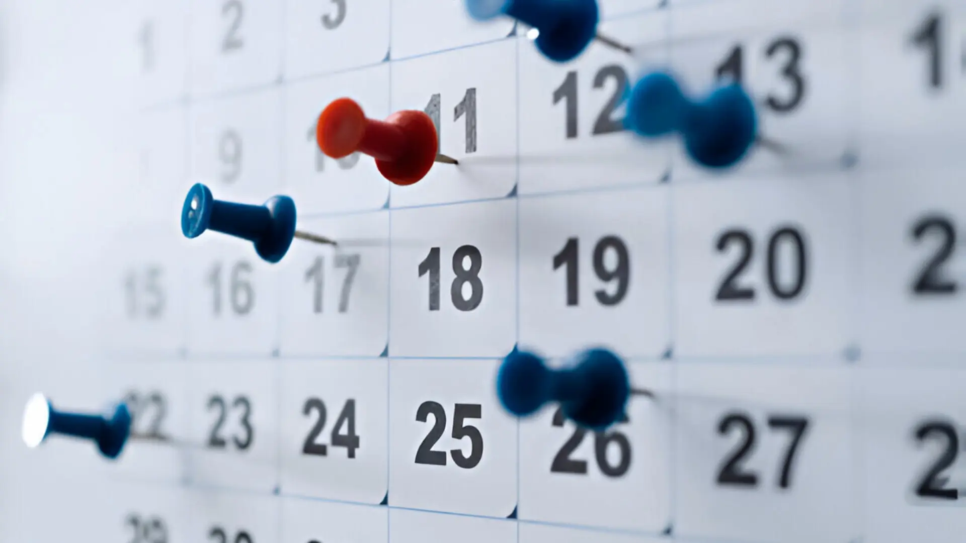 7 Langkah Membuat Project Timeline