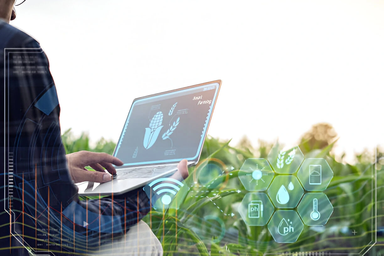 Aplikasi Pertanian: Penting untuk Digitalisasi Agrikultur