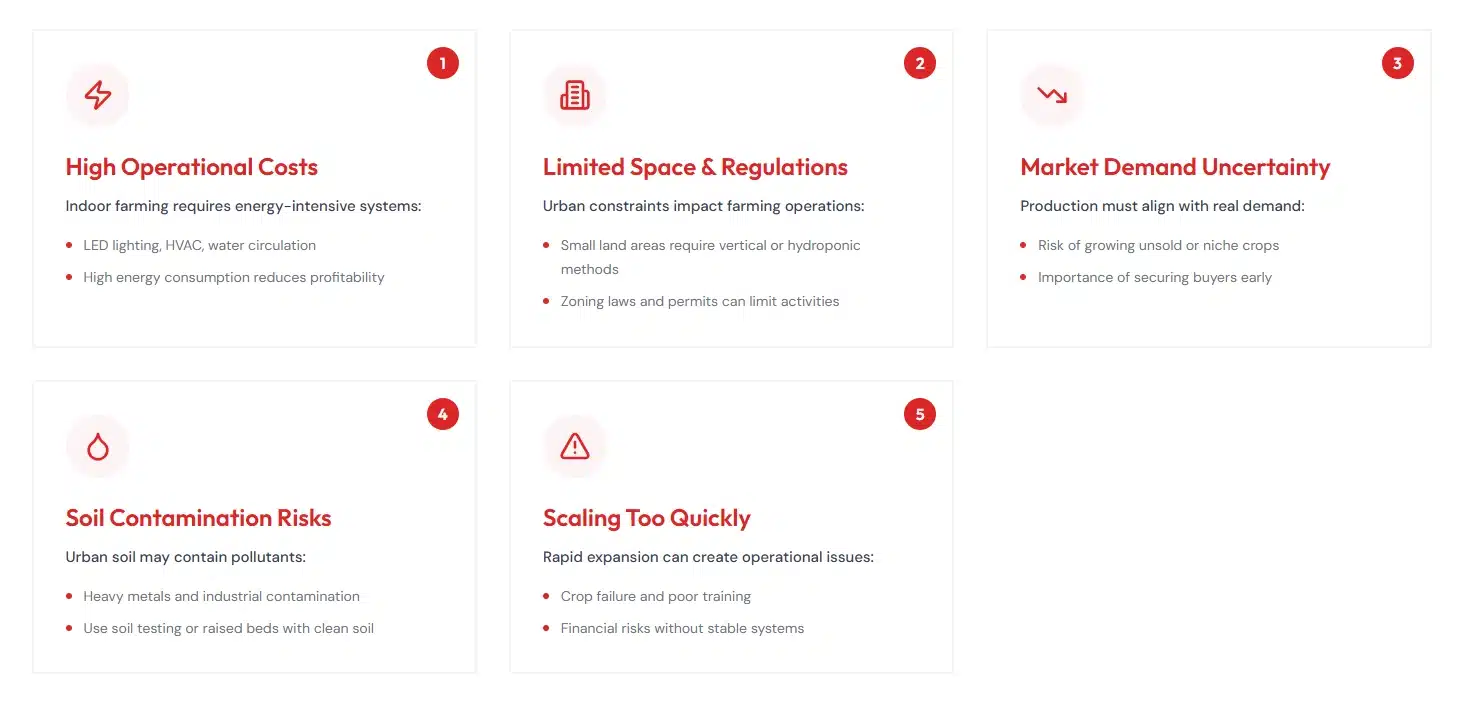 Urban Farming Challenges