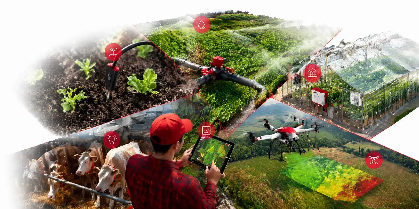 benefit of iot in agriculture malaysia